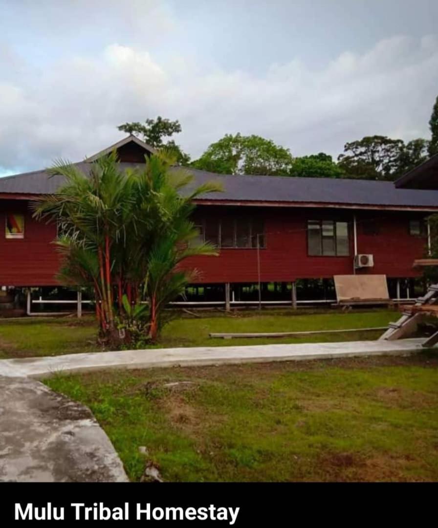 Mulu Tribal Homestay Εξωτερικό φωτογραφία